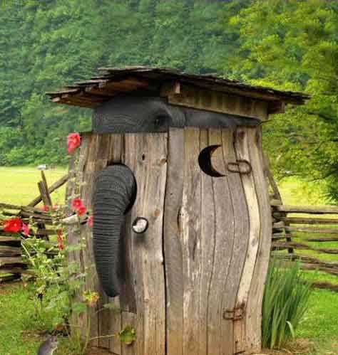 cabane-toilette-seche-elephant.jpg
