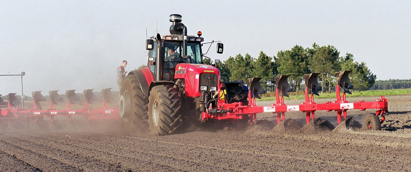 Massey 005.JPG