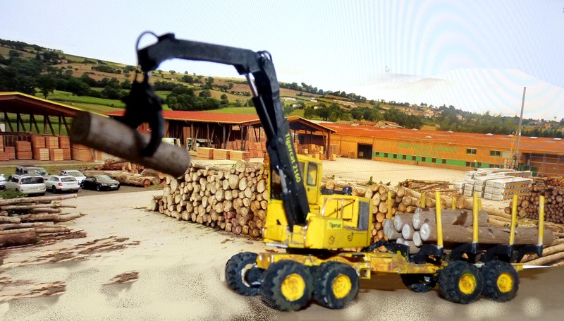 P1110631 (2) - Copie.JPG