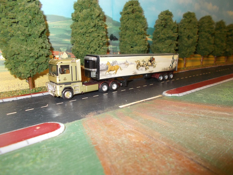 DSCN0387 - Copie.JPG