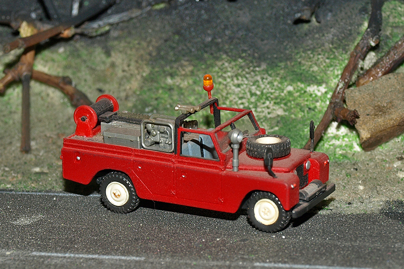 P4255761.JPG