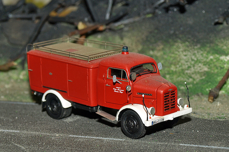 P4255771.JPG