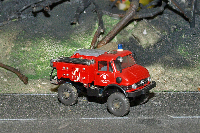 P4265795-001.JPG