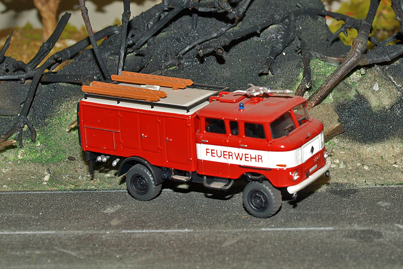 P4265791-001.JPG
