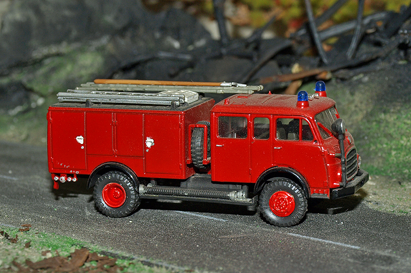 P4275810.jpg