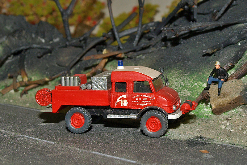 P4285824.JPG