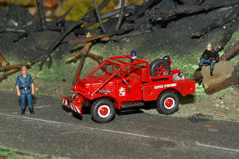 P4285831.JPG