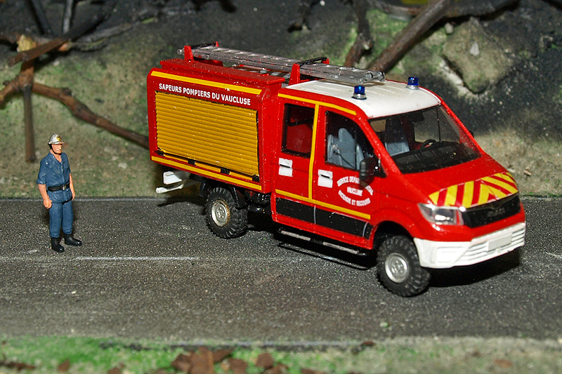P4285840.JPG