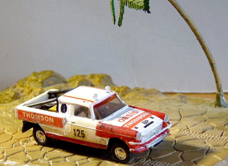 P1120959 (2).JPG