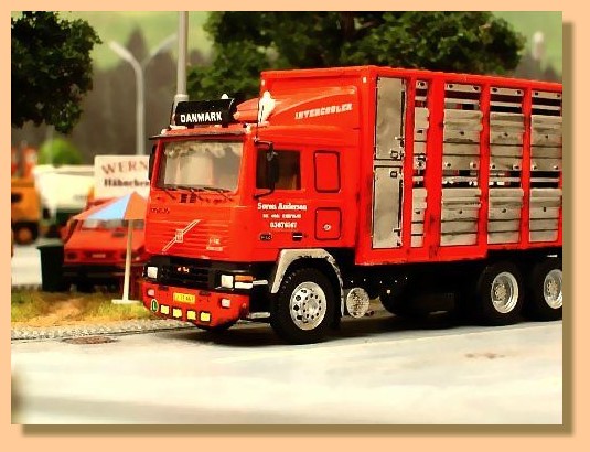 Volvo-Andersen-Vieh-5.jpg