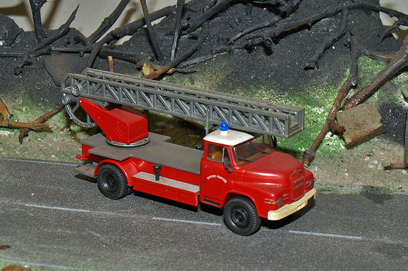 P7116207.JPG
