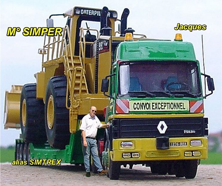 Simtrex montage.JPG