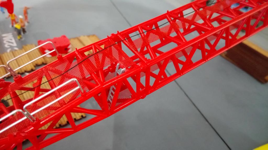 p5.JPG