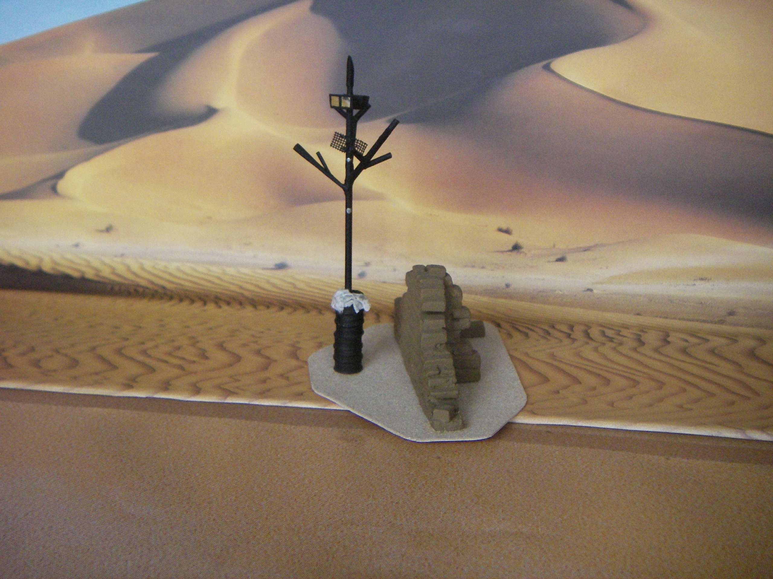 arbre ténéré.JPG