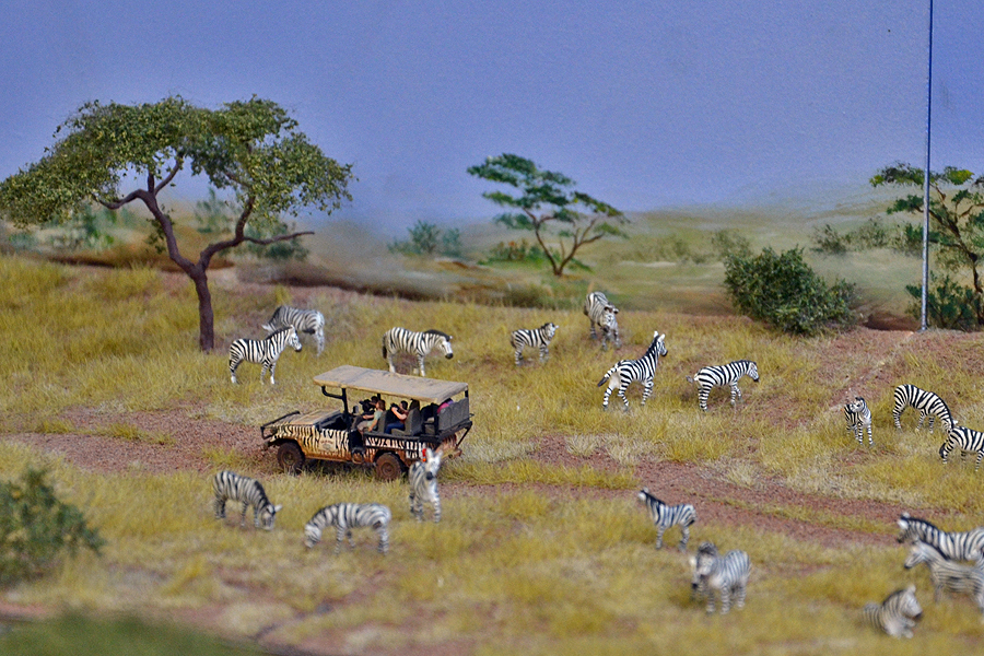 DSC_0236.jpg