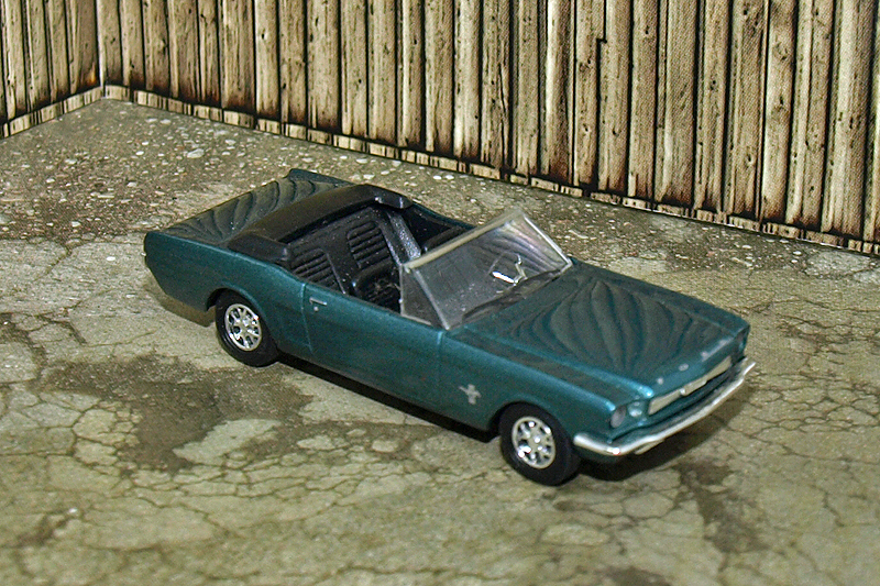 P1027014.JPG
