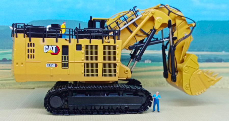 Coté opposé à la canine