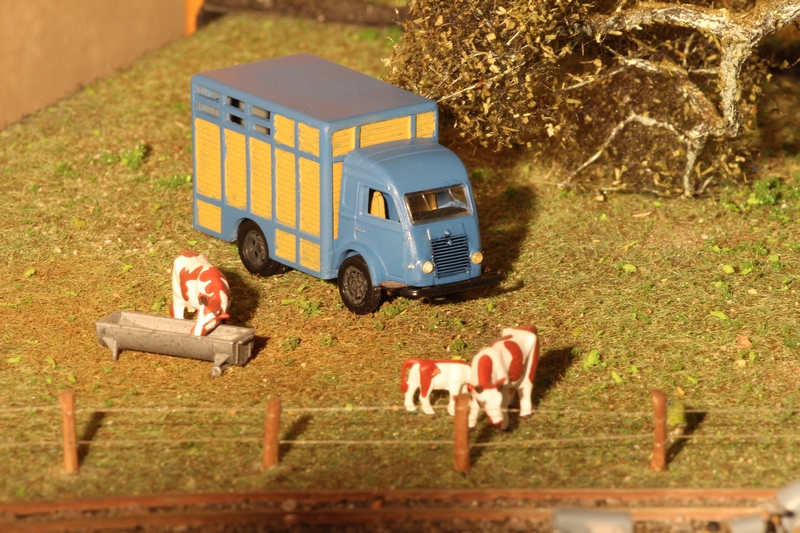 2017 07 08 (5) (Copier).JPG