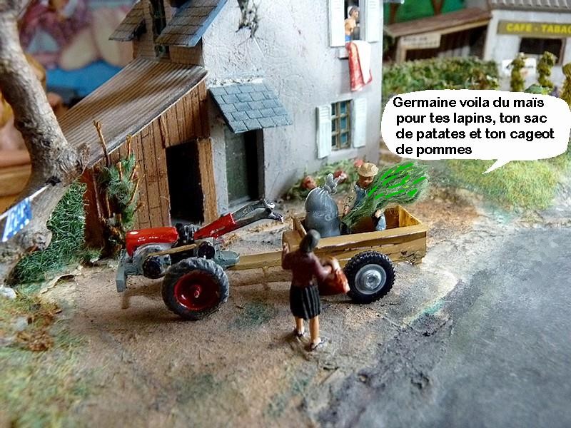 P1140179.JPG