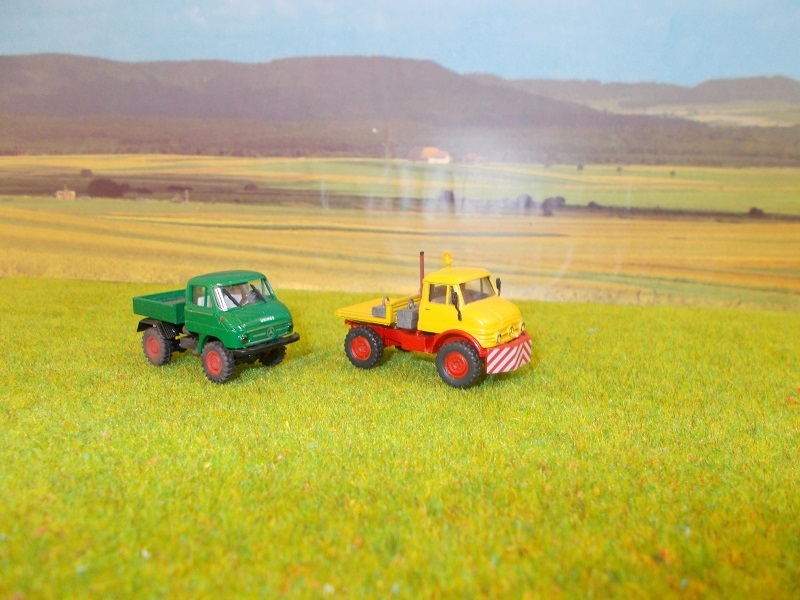 DSCN0866 - Copie.JPG