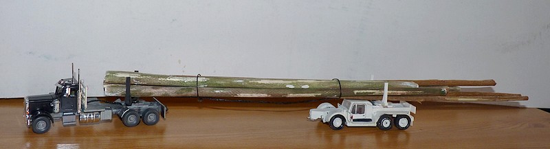 P1140795 (2).JPG