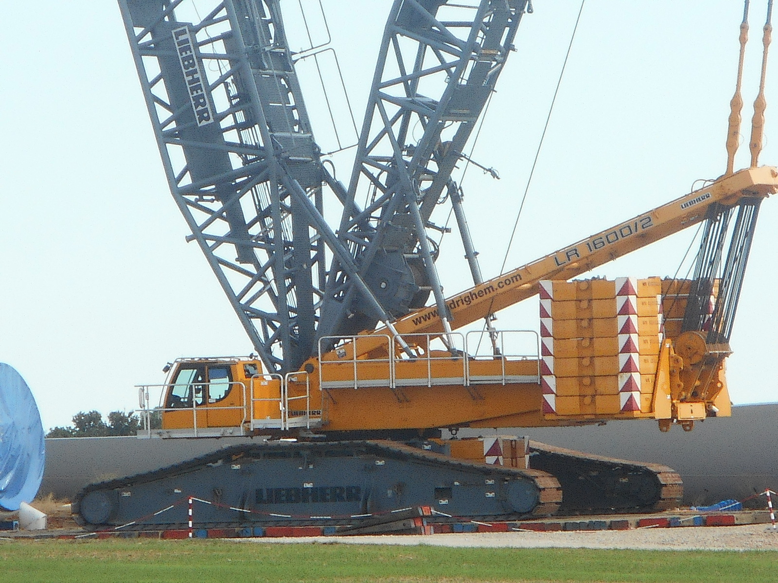 DSCN6801.JPG