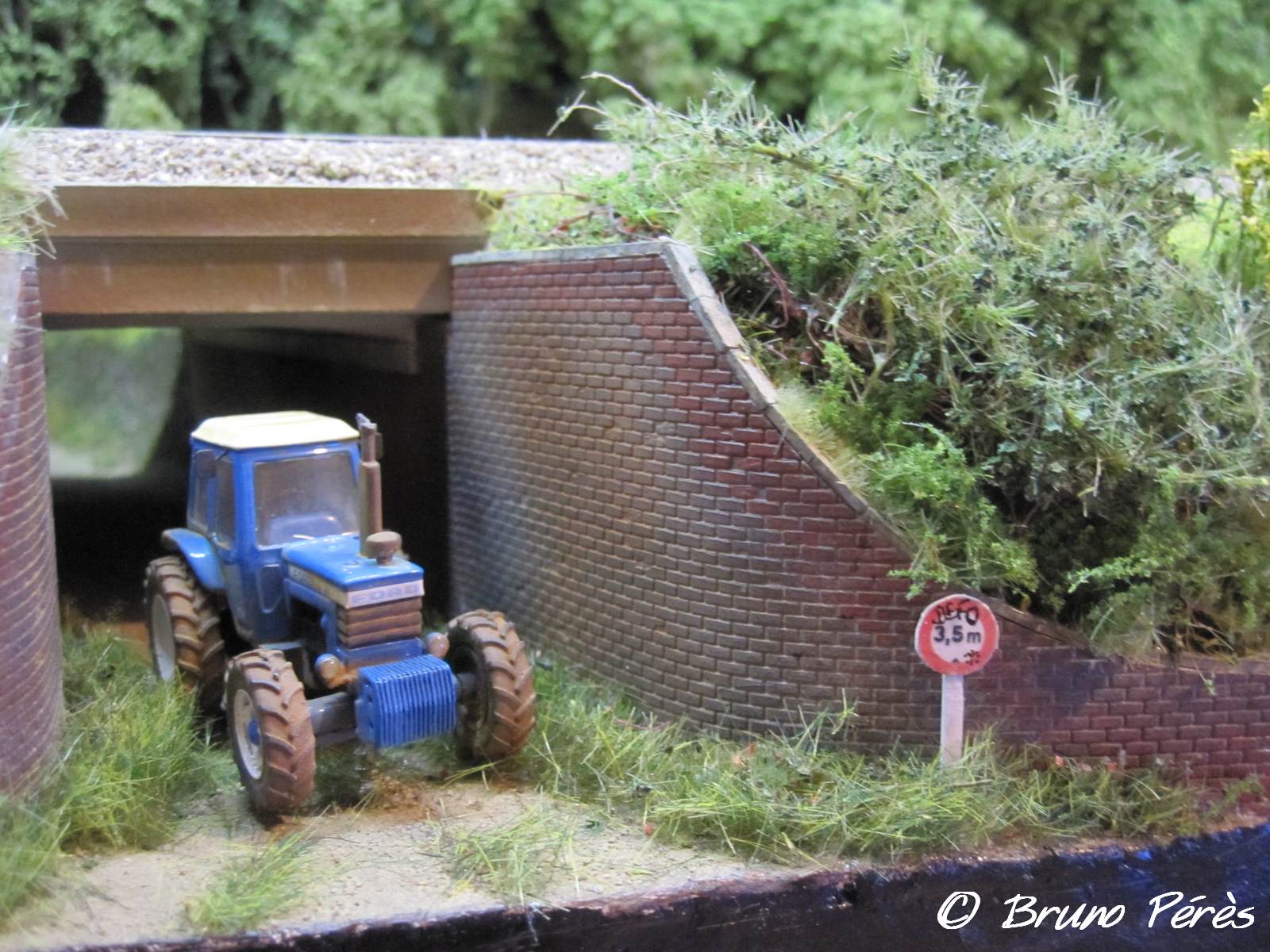 IMG_0424 (light).JPG