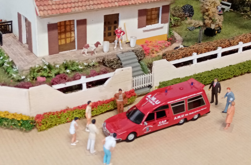 Notre femme de ménage est restée sur la terrasse avec Moskow notre chien de race Barzoï (Russie)