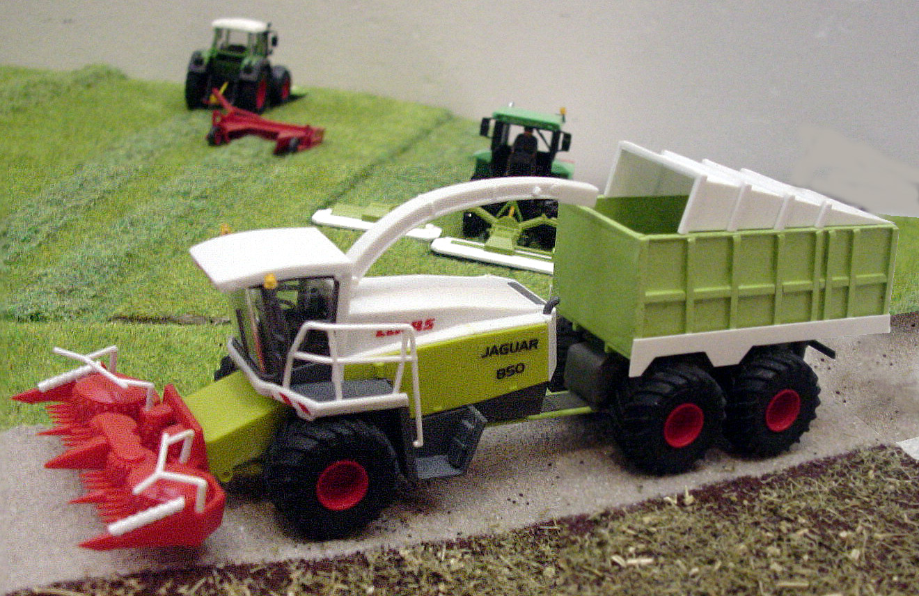 AG 1 DSC06608.jpg
