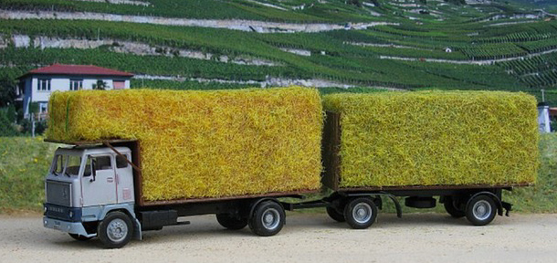 Pailloux ou Dailloux ?