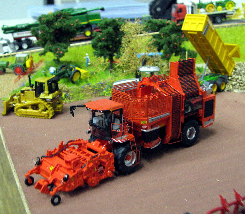 IMG_8511.JPG