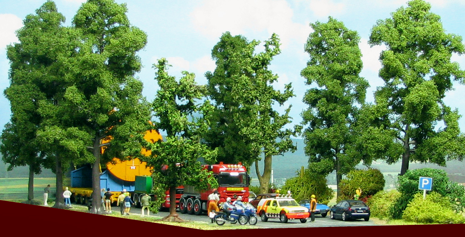 A travers les arbres