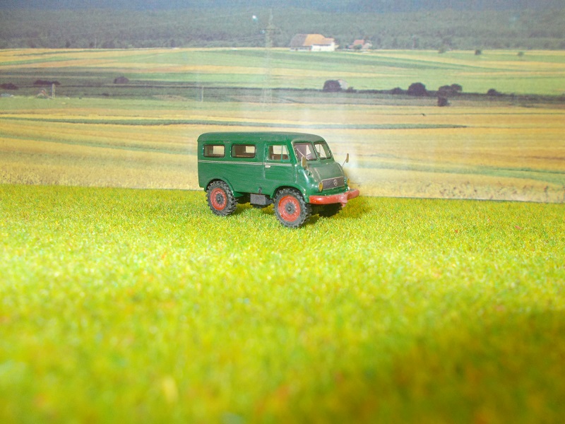 DSCN1531 - Copie.JPG