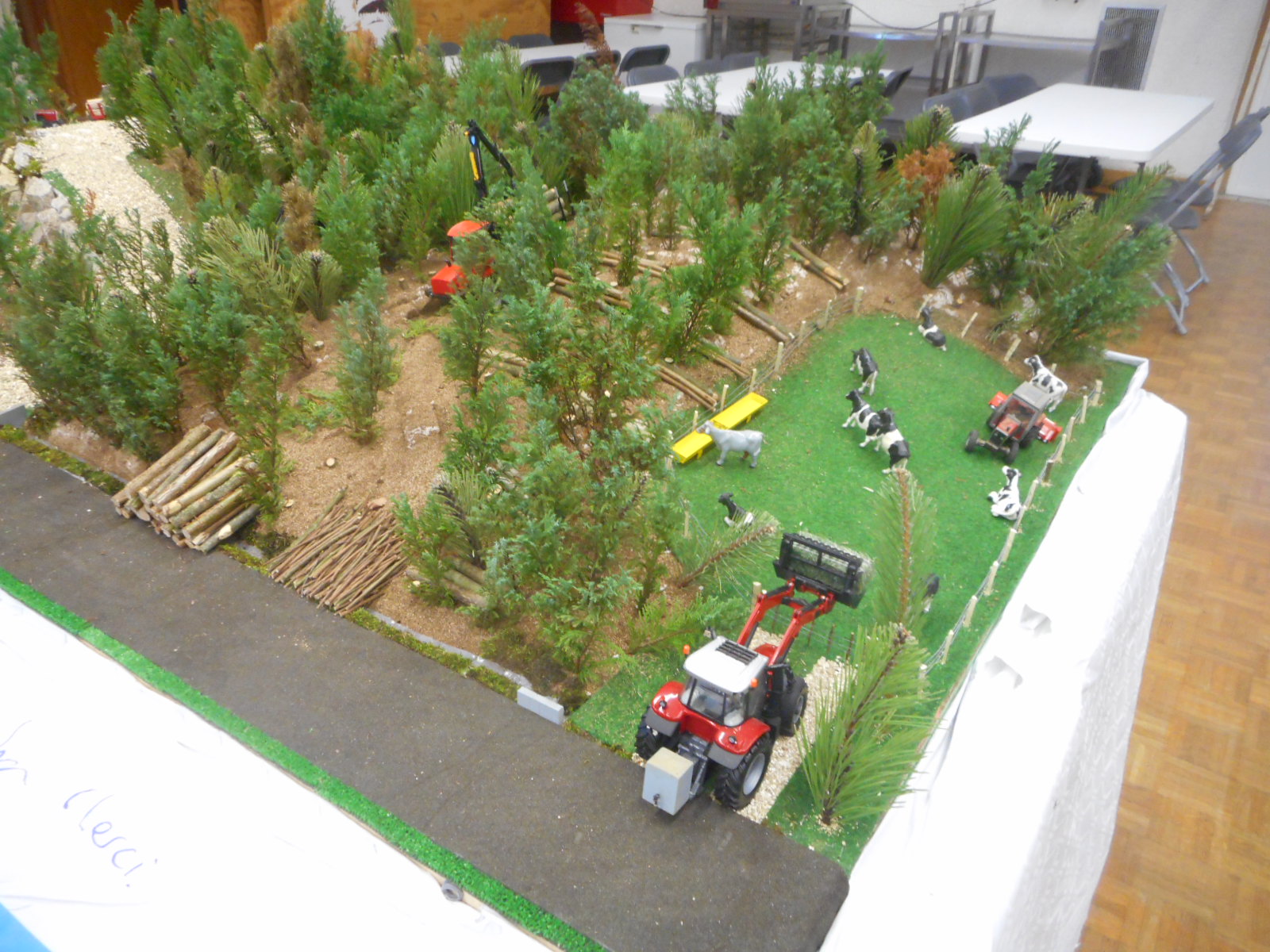 DSCN7353.JPG