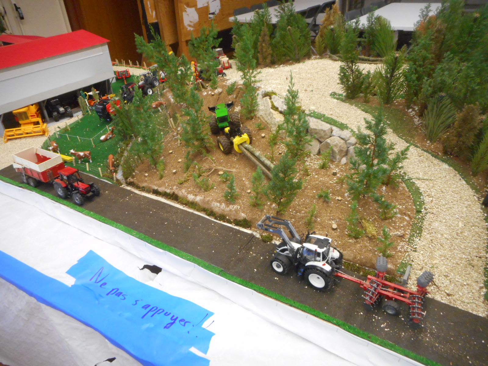 DSCN7354.JPG