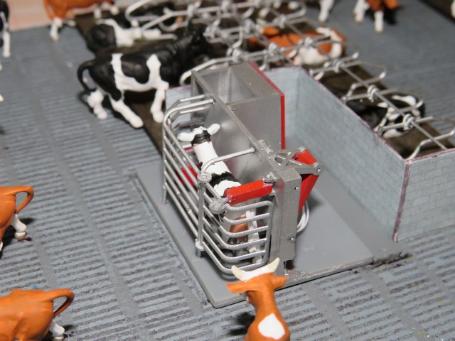 IMG_2164 (Copier).JPG