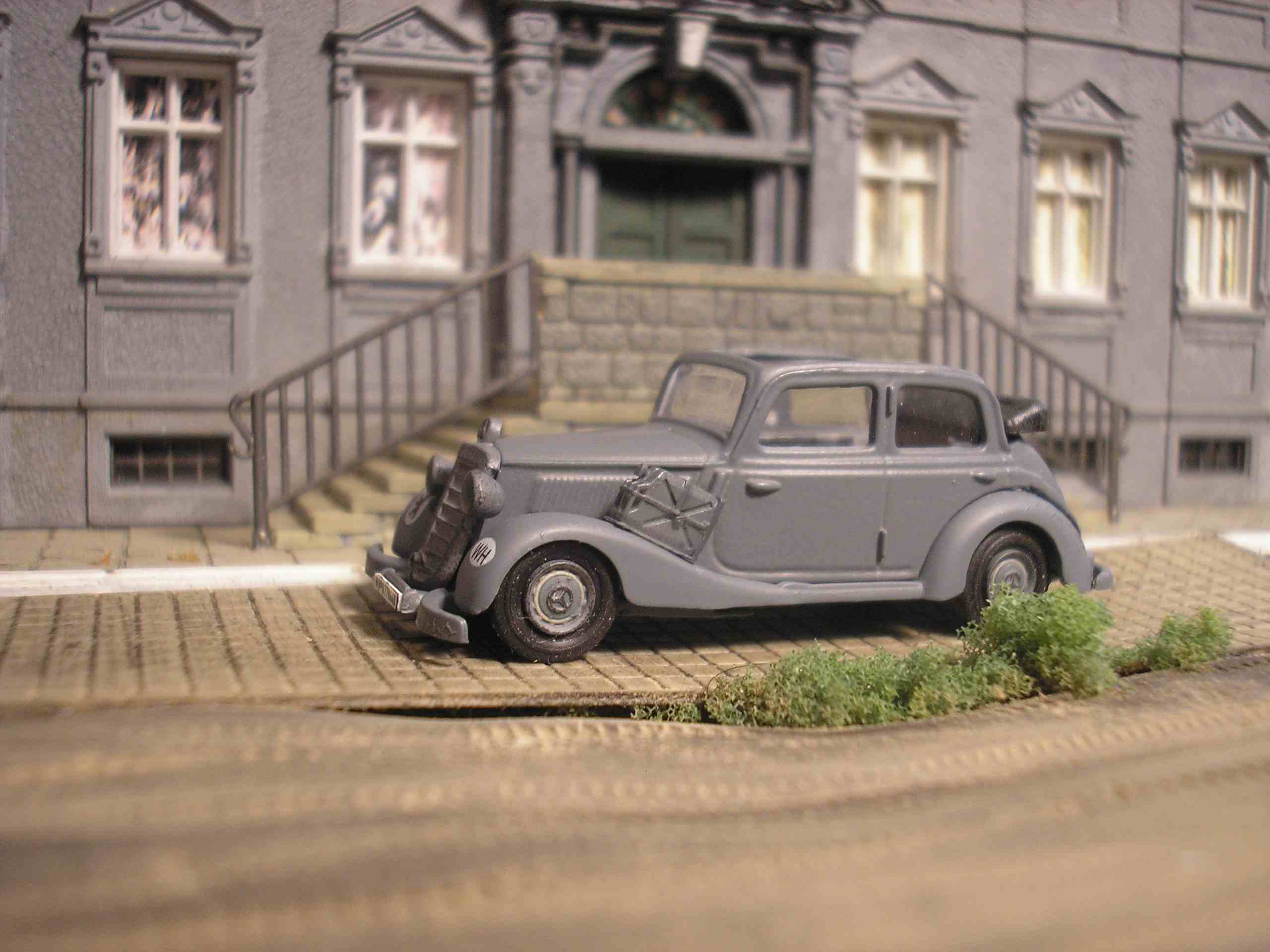 P1013064.jpg