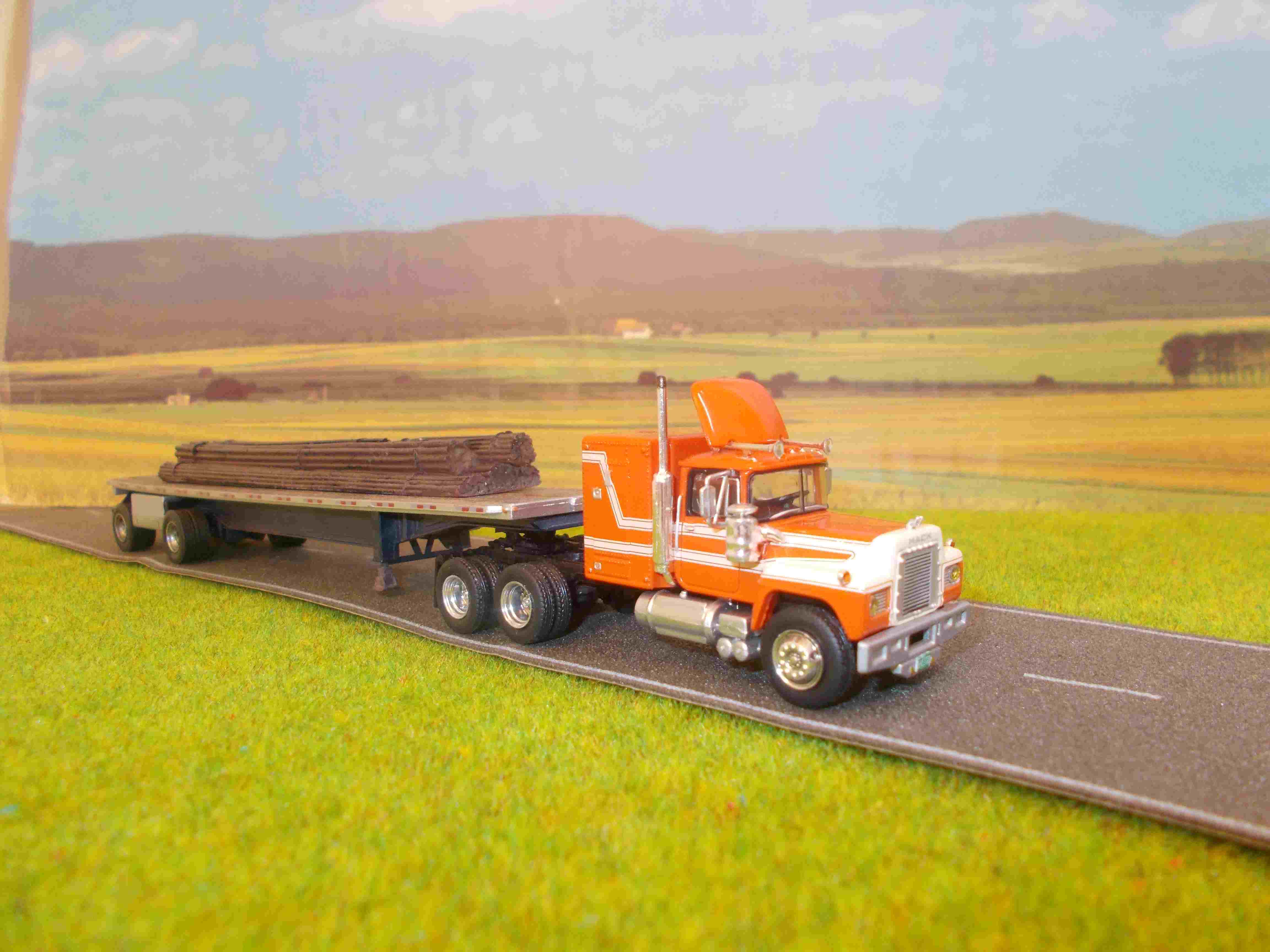 DSCN2332 - Copie.JPG r.JPG