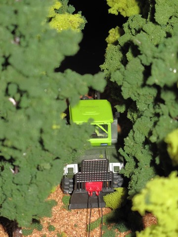 IMG_0989 (Copier).JPG