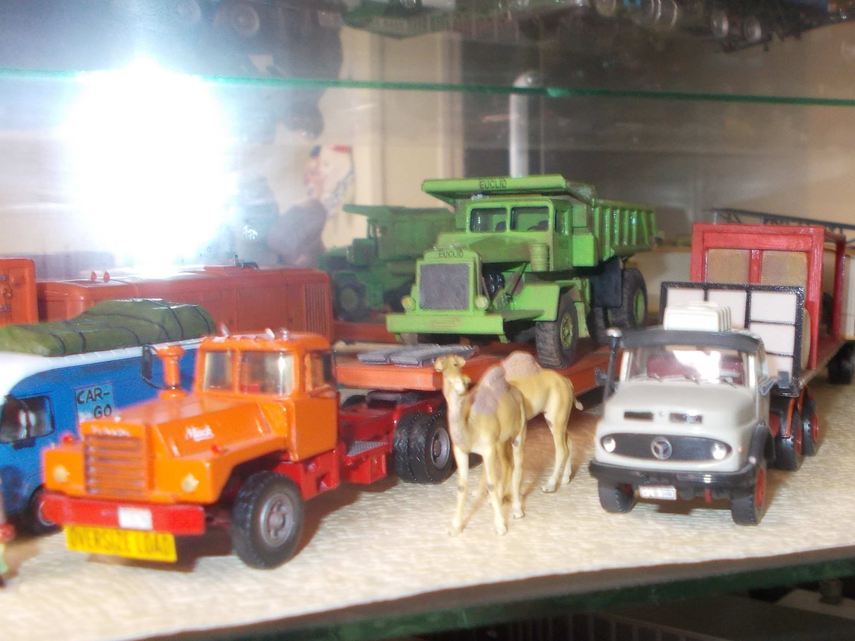 DSCN2506 - Copie.JPG