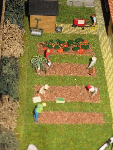 mon petit jardin.JPG