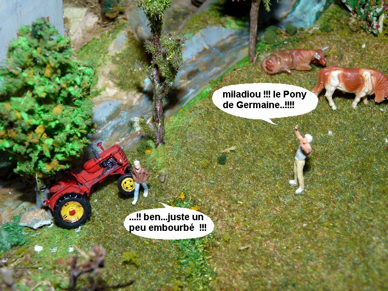 g2.jpg