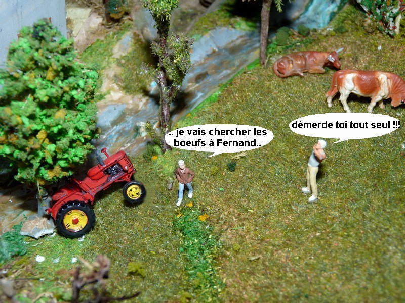 g3.jpg