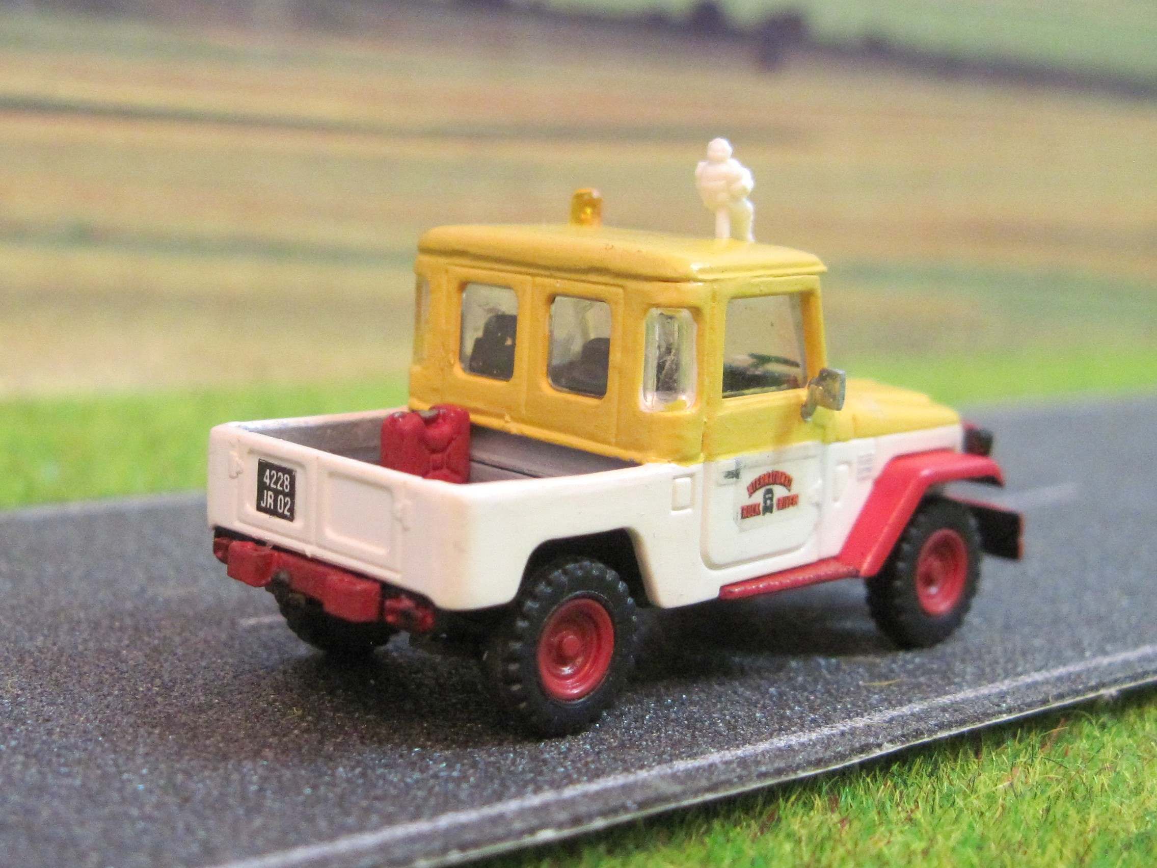 Miniaturefl(2).JPG
