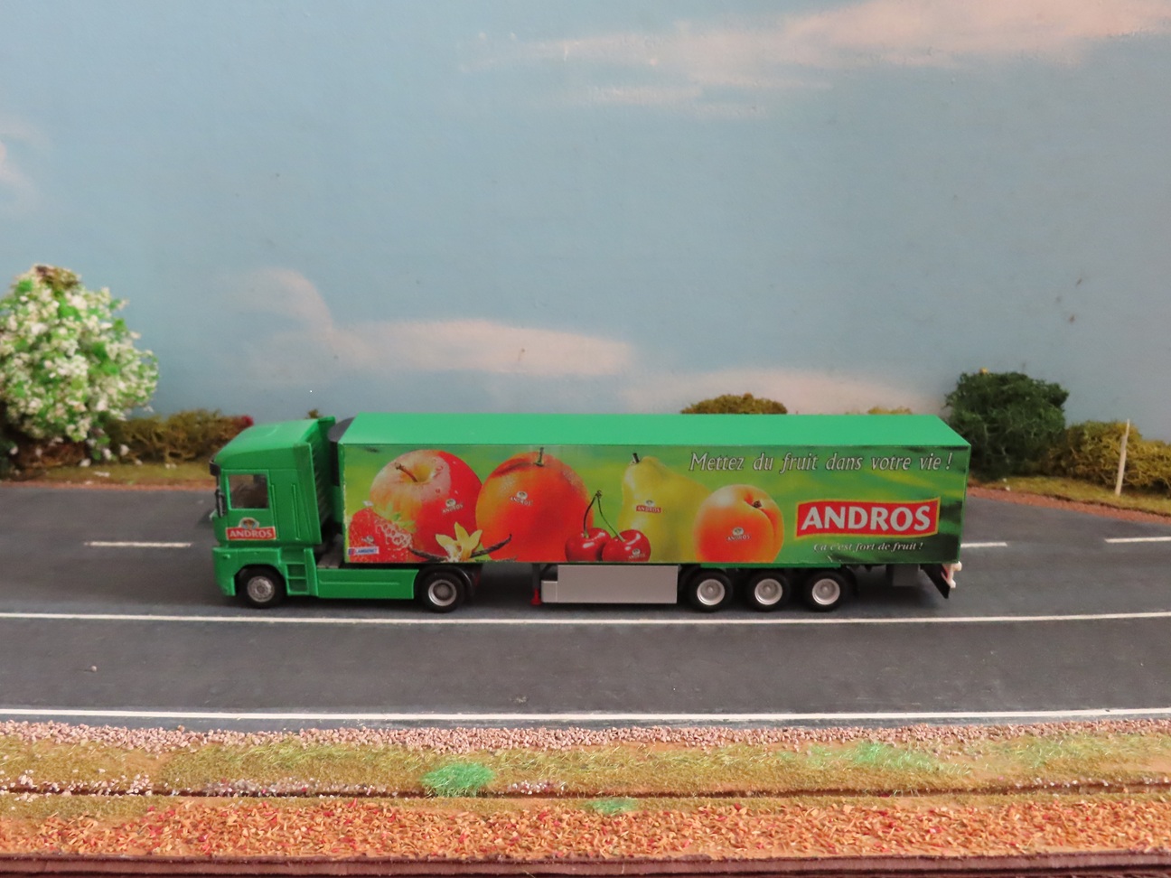 Andros-001 Paint.jpg