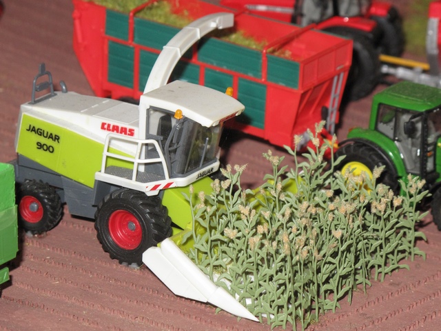 Claas ensileuse maïs Jaguar 900                     .JPG