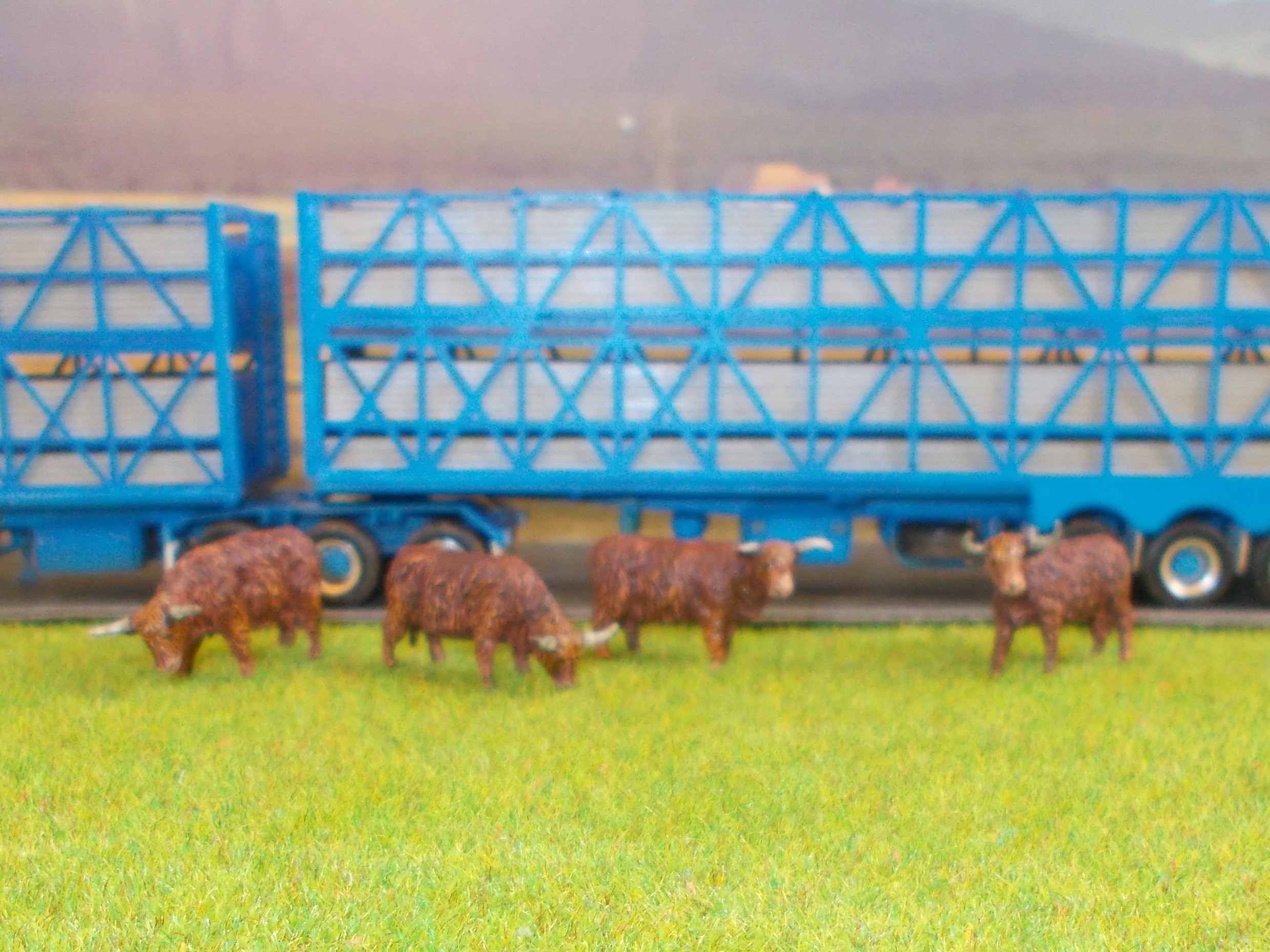 DSCN2704 - Copie.JPG