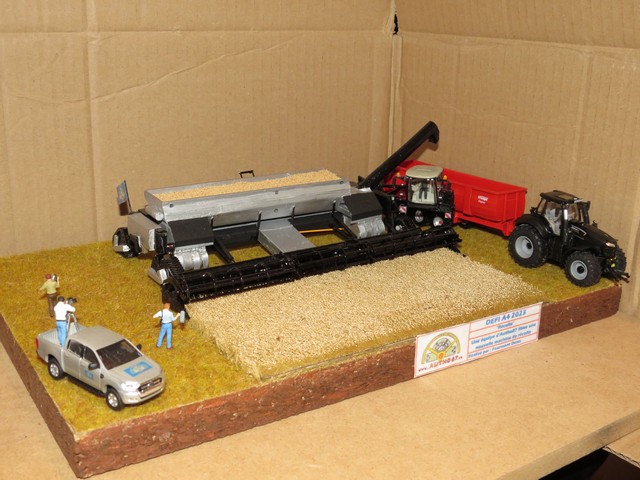 IMG_3988 (Copier).JPG