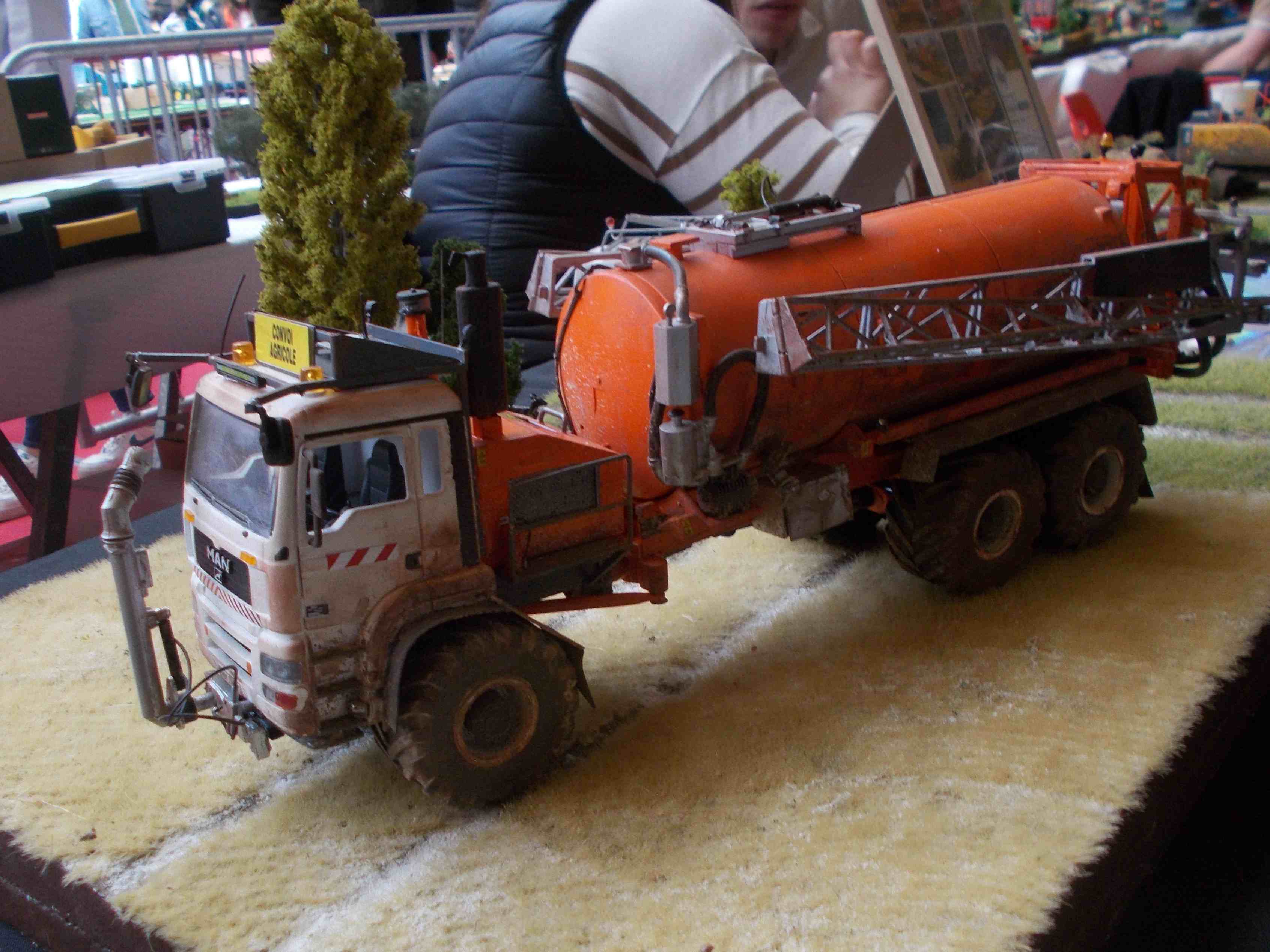 DSCN2729 - Copie.JPG