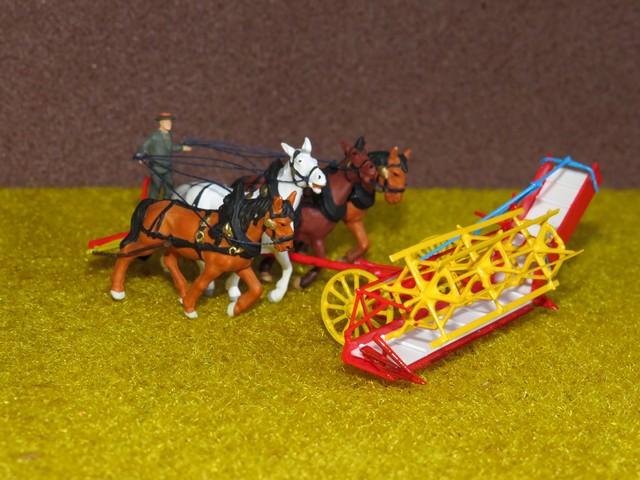 IMG_4437 (Copier).JPG